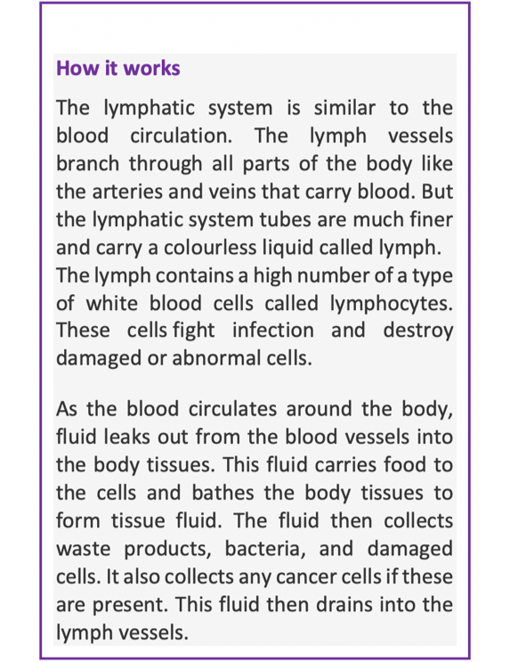 Lymphatic system Copy