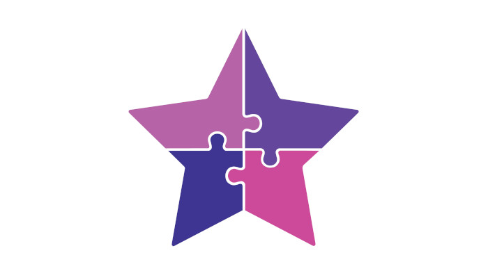 STaR logo - picture of a star made up of four pieces like a jigsaw